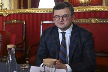 Владимир Сальдо: Кулеба проговорился о настоящих планах Киева