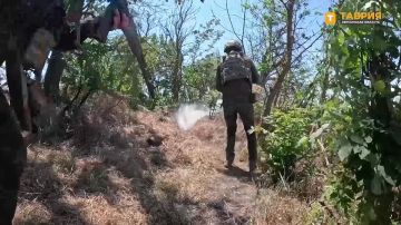 ��������� ������������� ����������� ����� "�����" ���������� �������������� �������� � �������������� ����������� �������