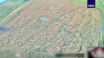 На Херсонщине "малое небо" становится опаснее для беспилотников ВСУ, заявил губернатор Владимир Сальдо
