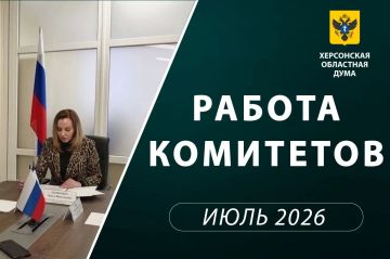 Комитет рассмотрел инициативы о страховых взносах и налоговых льготах
