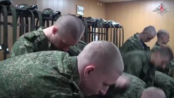 Завершился весенний период отправок граждан на службу — в ВС РФ призвали 141 тыс