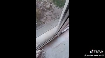 Запорожье. Военные Украины воруют топливо у местных жителей