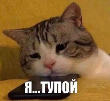 ������� � ����� ������ ���������� � ������������: �������� ����� ��������� ������������ �� ��� ���� �����