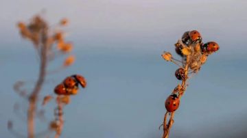 Доброе утро, Херсонщина!. У каждого свой путь к победе