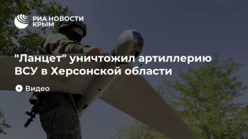 "Ланцет" уничтожил артиллерию ВСУ в Херсонской области