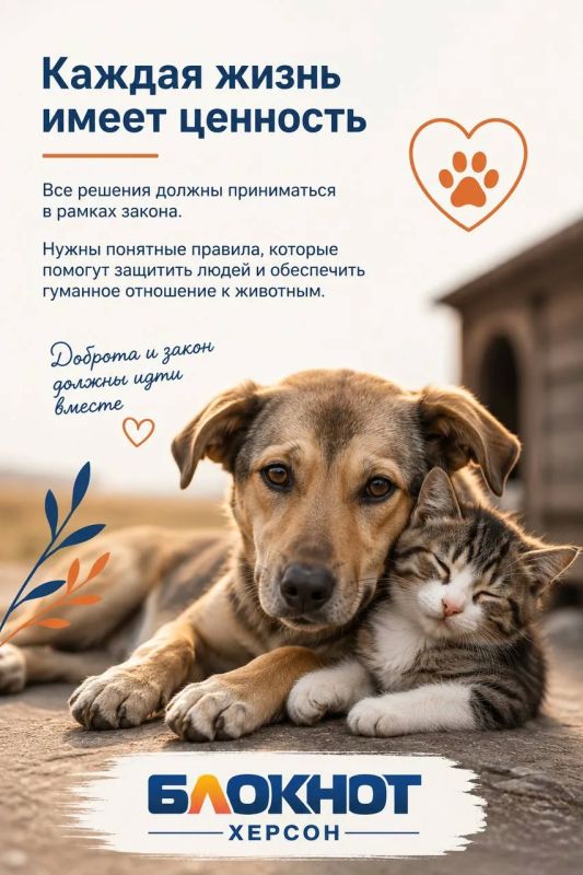 Закон об отлове бродячих животных в Херсонской области пока не внесли Облдуму