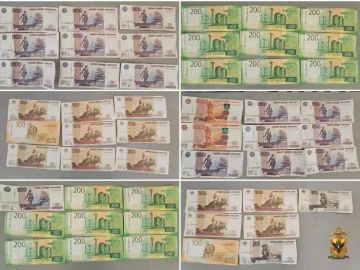 В Алешкинском округе задержали подозреваемых в краже товаров на 190 тысяч рублей