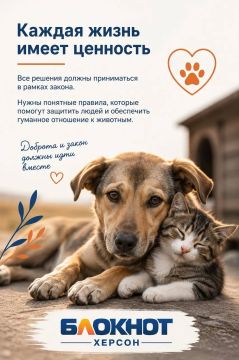 Закон об отлове бродячих животных в Херсонской области пока не внесли Облдуму