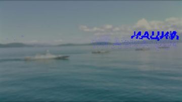 ������� ���������� 110-� ��������� �� ��� ����������� ������� ������� ��� ������