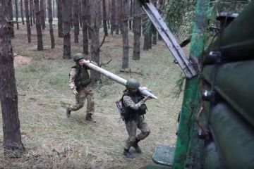 «Днепр» нанес удары по ВСУ в районе села Ингулец Херсонской области