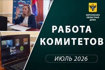Комитет рассмотрел инициативы для самозанятых