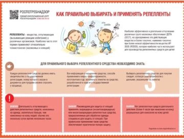 Как защититься от комаров. Комары — не просто надоедливые насекомые, а переносчики опасных инфекций
