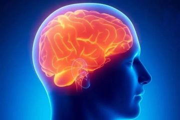 Инсульт и деменция не возникают за один день