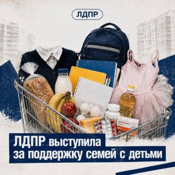 ЛДПР предлагает снизить НДФЛ для работающих родителей