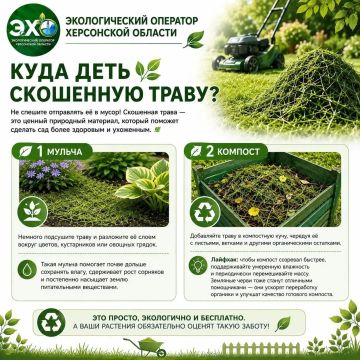 Скошенная трава — не мусор, а полезный природный ресурс