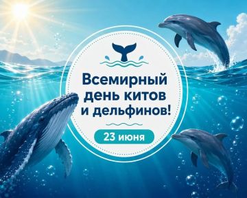 Сегодня — Всемирный день китов и дельфинов!