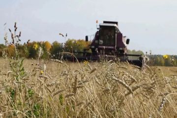Урожай вопреки угрозам: аграрии Каховского округа успешно ведут уборочную кампанию
