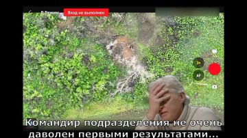 ���� �� �������: ����������� �����������. ��������� �������� � �������� ����