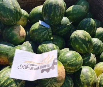 С начала года в Херсонской области провели порядка 2 132 ярмарок