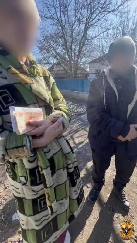 Двое жителей Новотроицкого округа осуждены за мошенничество с материнским капиталом