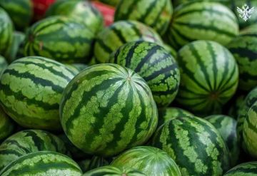 � ���������� ������� ��������� ����� ������ ��������