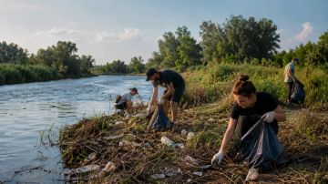 Более 26 км русла реки Каланчак очистили в рамках проекта «Вода России»