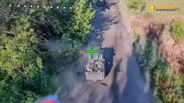 ���������� ���������� ����������� ����� "�����" � ������� FPV-������ ������� ������� � ������ ������ ���