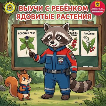 Летняя природа – удивительна