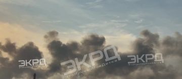 ������� ������ �� ���������� ������� 25 ���� � 26 ���� 2026 ����
