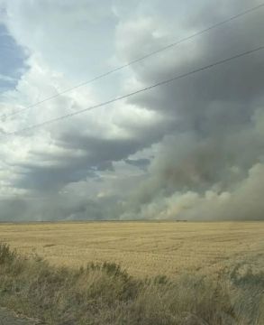 Поля с зерновыми культурами загорелись в Горностаевском округе после атак вражеских БпЛА