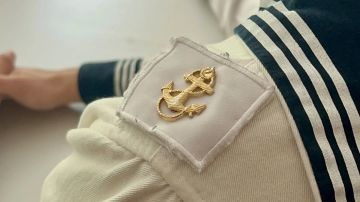 От школьной игры до настоящих историй службы