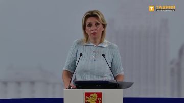 Мария Захарова: Россия будет добиваться того, чтобы киевский режим понес наказание за страдания и гибель детей