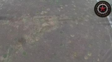 ���� ����� ��������� ���� Hornet ��� ������� ������������