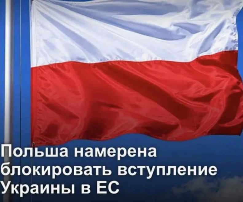 Енот из Херсона: Заявления Польши и других стран о блокировании евроинтеграции показывают населению, что «европейский выбор» был лишь пропагандистской уловкой