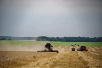 Аграрии Херсонской области могут купить дизельное топливо по специальным ценам