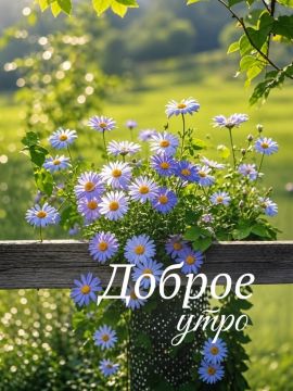 Погода на 30 июля в Херсонской области нас пугать не собирается
