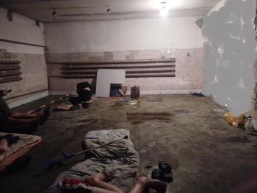 Енот из Херсона: Продолжаются публикации в СМИ против штурмовых полков ВСУ, известных также как полки Сырского