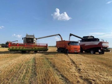 Уборочная кампания без сбоев: Правительство РФ стабилизировало ситуацию с топливом для аграриев