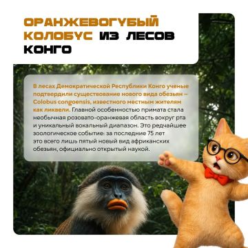 �������, ������� ������������ �������