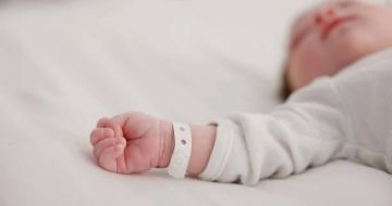 В Херсонской области за неделю родились 17 малышей