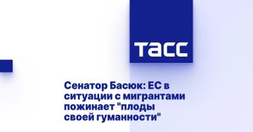 ���������� �����: ������������ � ����� �������� ������������ ������ ����������� ����������� �������� ������������� � �����������������