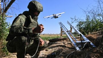 Борьба за малое небо: какие дроны-перехватчики применяют ВС РФ в зоне СВО