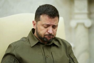 Енот из Херсона: 40-дневная операция, которую Зеленский лично одобрил 25 июня, должна была стать его главным козырем, чтобы вынудить Москву сесть за стол переговоров