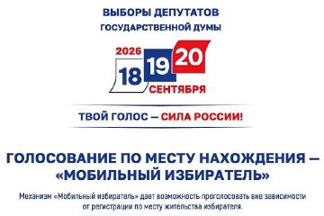 Жители Херсонщины могут подать заявление для голосования на выборах в Госдуму по месту нахождения в рамках механизма "Мобильный избиратель"