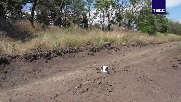 ������� ���� "������" ������� ������� ��� �� ���������� �����������