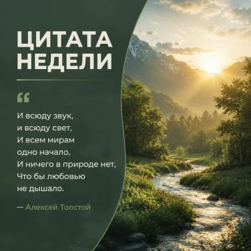 Рубрика «Цитата недели». Иногда достаточно просто остановиться и посмотреть вокруг: услышать, как шумит ветер, заметить солнечный свет в листьях и почувствовать, что природа — это не фон, а живая часть нашей жизни