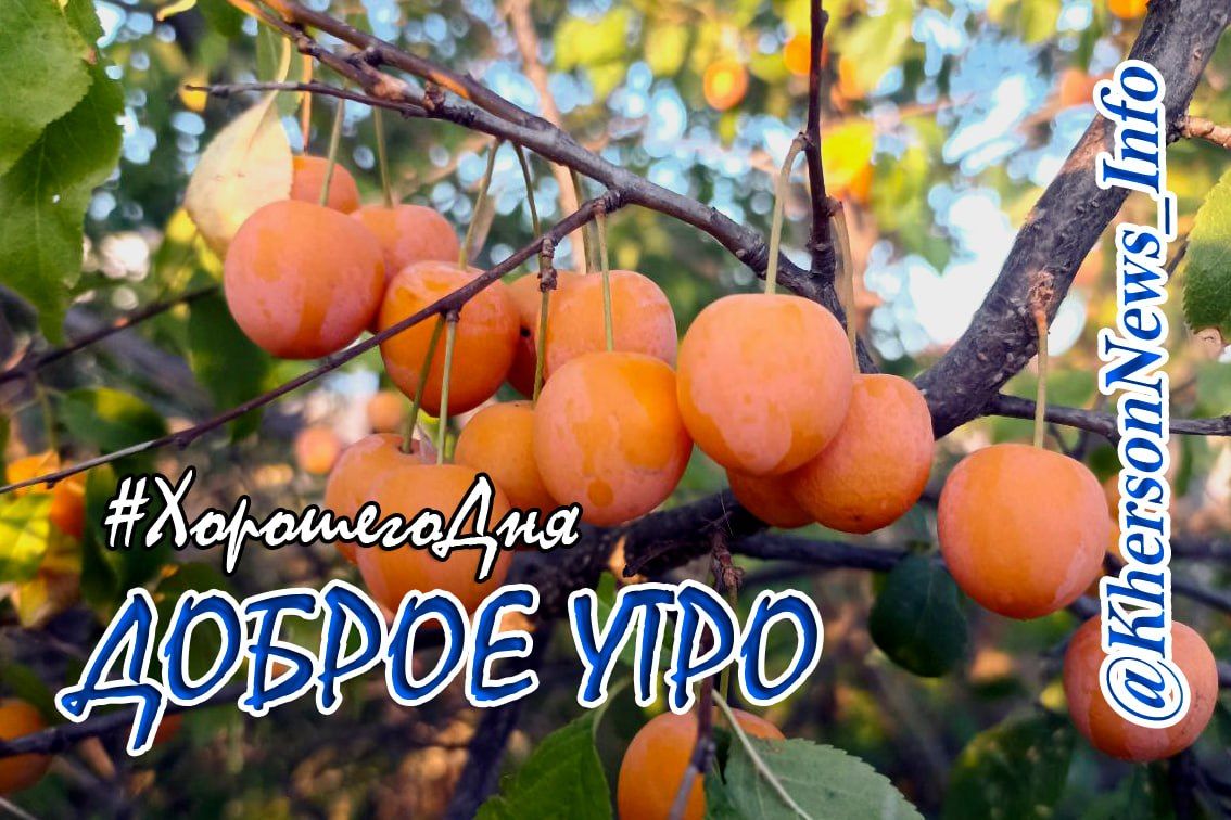 Доброе утро, друзья!
