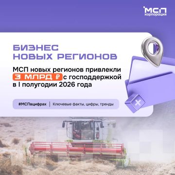 Господдержка МСП в новых регионах — в цифрах
