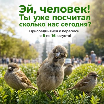 Воробьиная перепись стартует: присоединяйтесь!