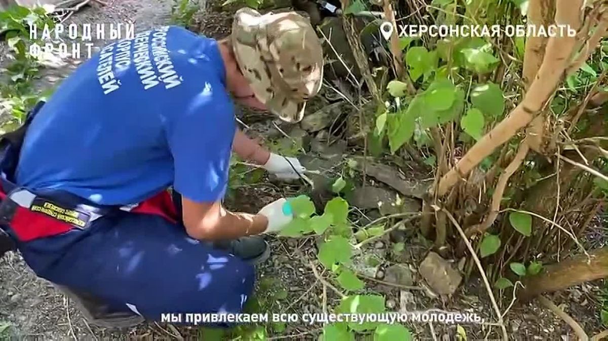 Народный фронт расширяет сотрудничество с различными организациями для оказания системной поддержки жителям Херсонской области